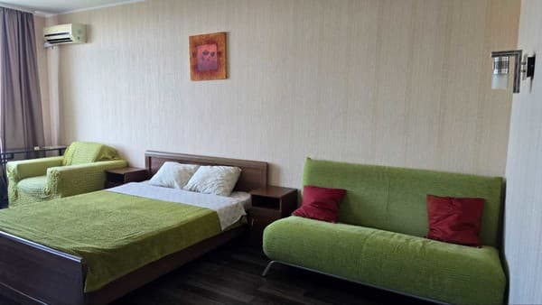 Студия с невероятным видом 13